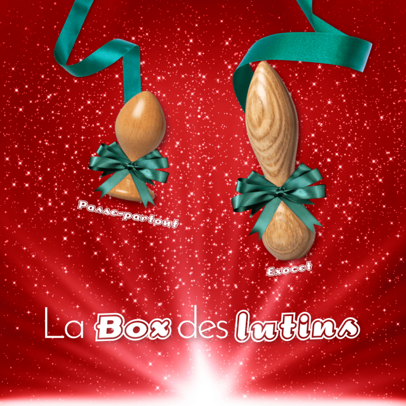 bobtoys le sextoy en bois campagne noel