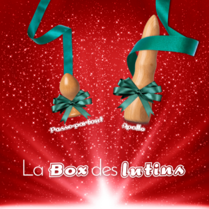 bobtoys le sextoy en bois campagne noel